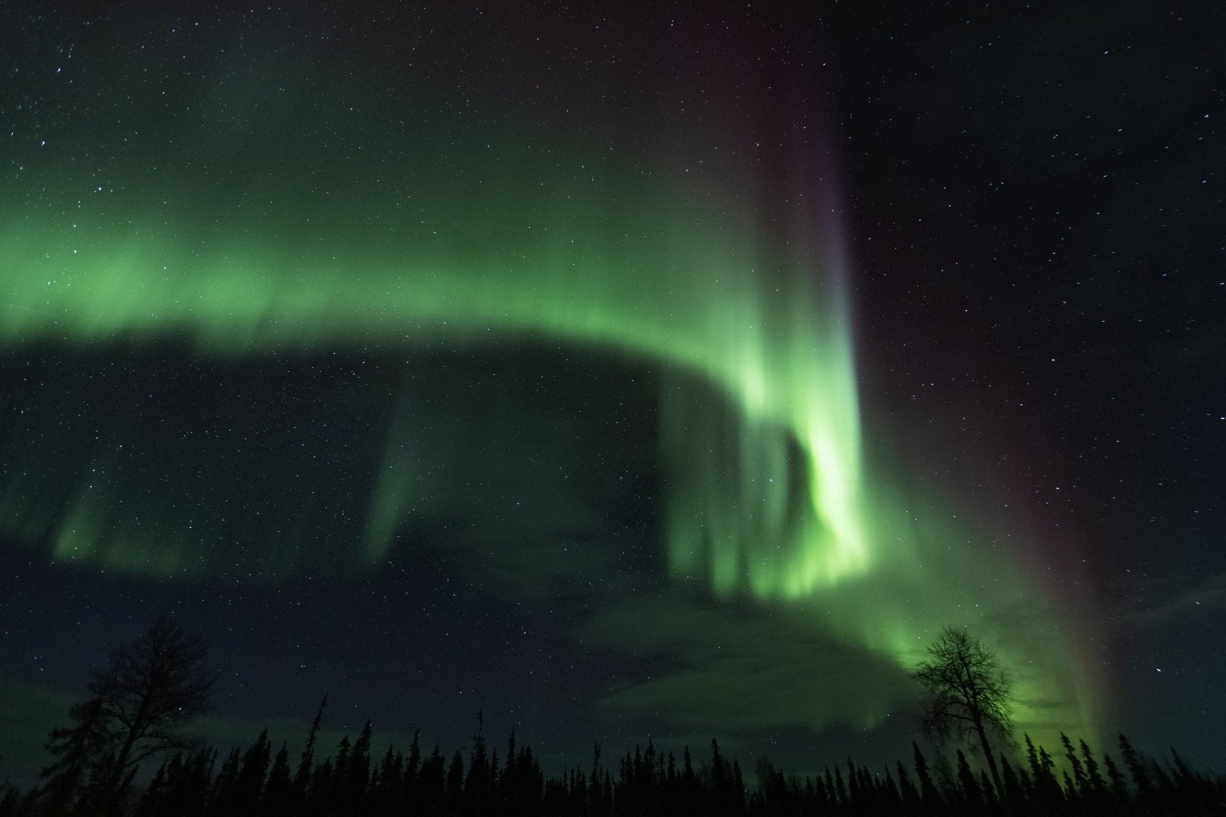 A wide band of Northern Lights arcing over a dark forest in Finnish Lapland